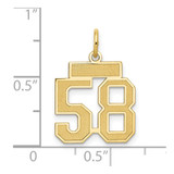 14k Small Satin Number 58 Charm