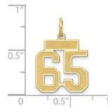14k Small Satin Number 65 Charm