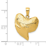 14K Solid Polished 3-D Shark Tooth Pendant - C2-A4957BD4-8587