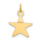 14K Star Disc Charm - XM-377CE52A-3286