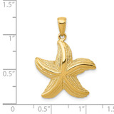14k Starfish Pendant - K2-81BFEEC4-4781