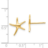 14k Starfish Post Earrings - TE-9A769D47-1041