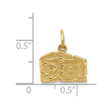 14k Swiss Cheese Charm