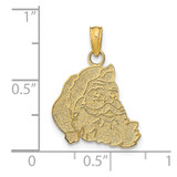 14K Textured Flat Santa Face Charm
