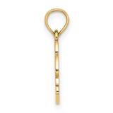 14K Textured NAGS HEAD w/ Dolphin Charm