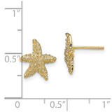 14K Textured Starfish Post Earrings