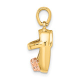 14k  3D Two-tone Baby Shoe Charm