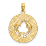 14K TURKS AND CAICOS w/ Dolphins Circle Charm