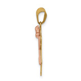 14k Two-tone AA Diamond Kid Pendant - XK-10679084-8356