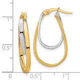 14k Two-tone Polished Double Oval Hoop Earrings - TF-60049D85-7931
