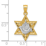 14k Two-tone Textured Dove On Star Of David Pendant
