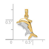 14K w/ Rhodium 2-D Polished Dolphins Charm