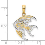 14k w/ Rhodium Cut-Out Angelfish Charm
