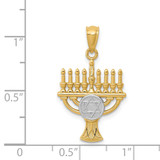 14K w/ White Rhodium Menorah Pendant