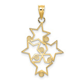 14K w/Rhodium Diamond-cut Star Cluster Charm