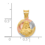 14K w/Rose and White Rhodium D/C Sagrado Corazon Pendant - K5-35559BBD-6530