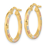 14k w/White & Rose Rhodium Polished & Satin Hoop Earrings - TF-20BA9D22-4934