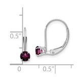 14k WG 4mm Round June/Rhodolite Leverback Earrings