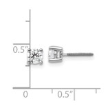 14k White Gold 1/2 ctw Lab Grown Diamond VS+ F+ Round 4 Prong Heavy Wt. Screwback Stud Earrings - EM-14919E05-8602
