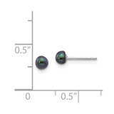 14k White Gold 3-4mm Black Button Freshwater Cultured Pearl Stud Post Earrings