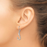 14K White Gold 3-D Fish Hook Leverback Earrings
