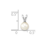14k White Gold 5-6mm White Round Akoya Saltwater Cultured Pendant