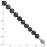 14k White Gold 7-8mm Black Round Akoya Saltwater Cultured Pearl 7 inch Bracelet