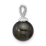 14k White Gold 8-9mm Round Black Tahitian Saltwater Cultured Pearl Pendant - XF-23AB225A-1463