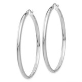 14k White Gold Polished Hoop Earring - TC-79C59ABE-5278