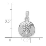 14K White Gold Polished Sand Dollar Pendant - K5-C91854F6-8410