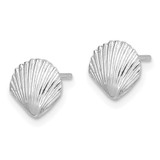 14K White Gold Scallop Shell Post Earrings - TE-961A791D-6737