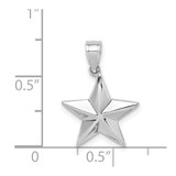 14K White Polished Star Pendant