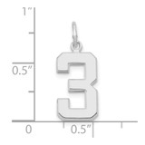 14kw  Medium Polished Number 3 Charm