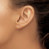14kw .05ct VS2/SI1 G-I Diamond Stud Thread on/off Post Earrings