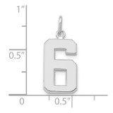 14kw Medium Polished Number 6 Charm