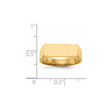14k 16.0x6.0mm Closed Back Signet Ring