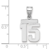 14kw Small Polished Number 15 Charm