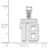 14kw Small Polished Number 18 Charm