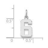 14kw Small Polished Number 6 Charm