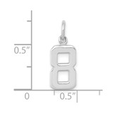 14kw Small Polished Number 8 Charm