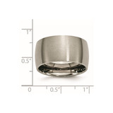 Chisel Titanium Brushed 12mm Half Round Band - TB-3C4987BB-4453