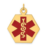 14k 22.5mm Hexagon Red Enameled Medical Jewelry Pendant