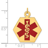 14k 22.5mm Hexagon Red Enameled Medical Jewelry Pendant