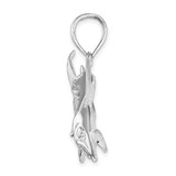 De-Ani Sterling Silver Rhodium-Plated Polished and Satin Swordfish Pendant - QC-FA0DBD51-5100