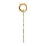 14k 25th ANNIVERSARY Disc Charm