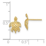 14K 2-D  Textured Sea Turtle Post Earrings