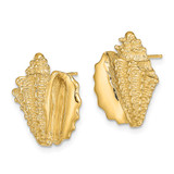 14K 2-D Conch Shell Post Earrings - TE-02897E97-4927