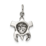Sterling Silver Antiqued Sea Turtle Charm