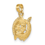 14k 3-D Pisces Zodiac Charm