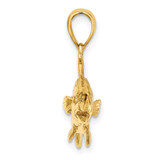 14K 3-D Red Fish Charm - K7-D516DCD2-5353